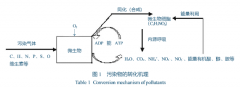煉膠廢氣處理系統設計